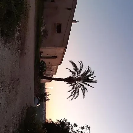 La Casa Al Ficus *